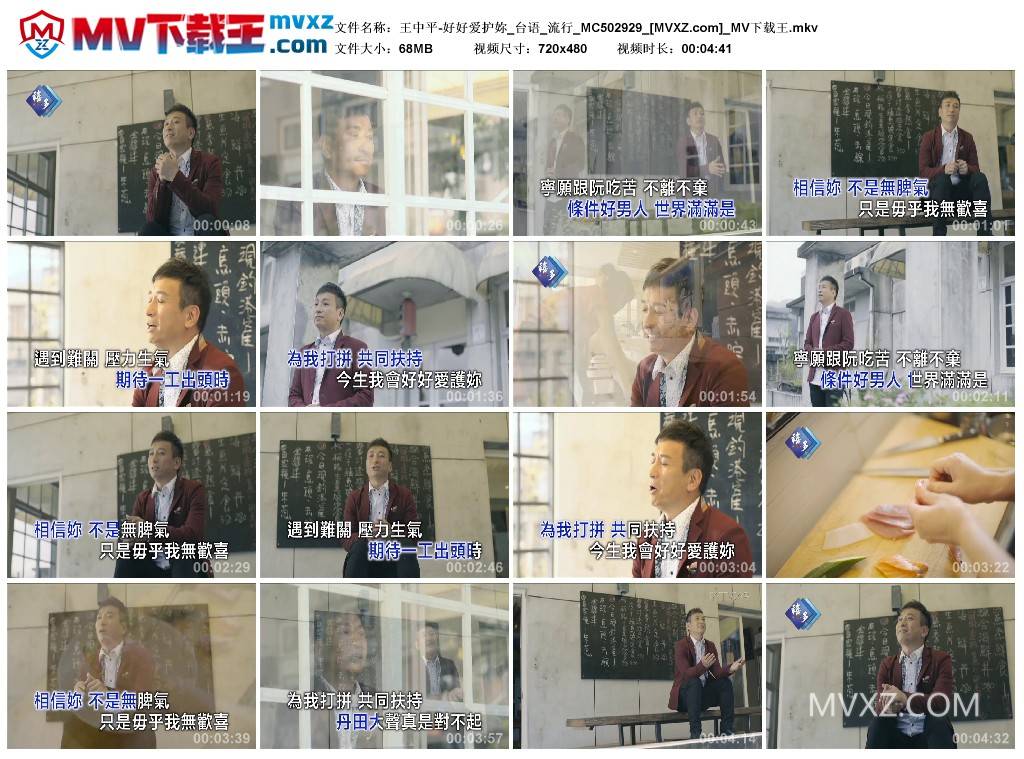 王中平-好好爱护妳_台语_流行_MC502929